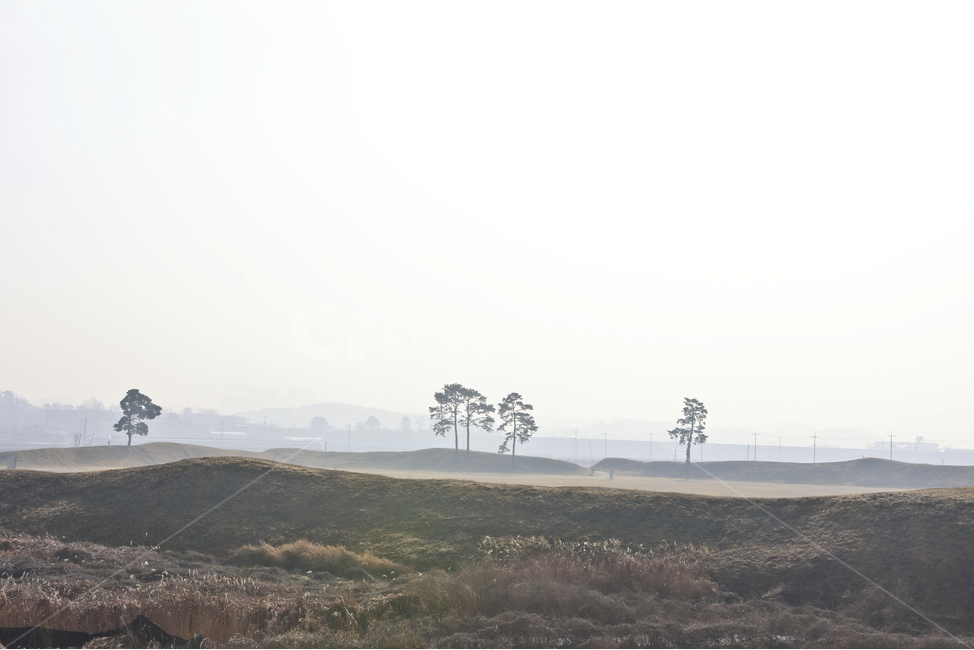 평야,넓은,나무,토성,정북동,정북동토성,자연,풍경,nature,landscape