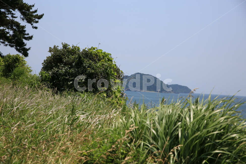 통영,연대도,만지도,해안,출렁다리,바닷가,데크길,해안데크,자연,풍경,nature,landscape,outdoors,옥외,land,땅,ocean,대양,sea,바다,water,물,shoreline,해안선