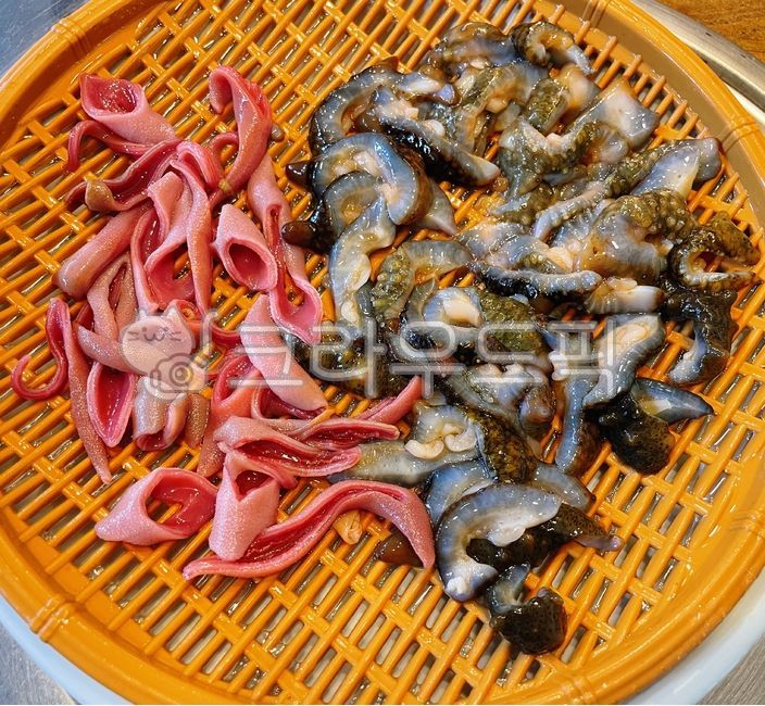 개불,해삼,해물,해산물,개불회,회,해삼회,날음식,음식,food,seafood