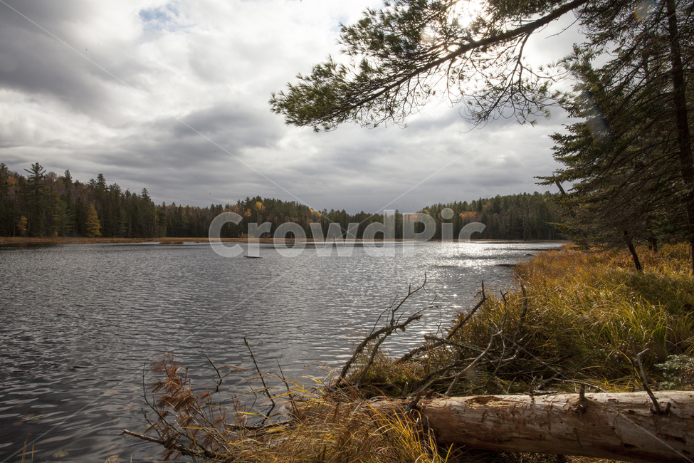 캐나다,알곤퀸,공원,단풍,호수,국립공원,단풍나무,옥외,outdoors,nature,자연,water,물,canada,무스코카,muskoka