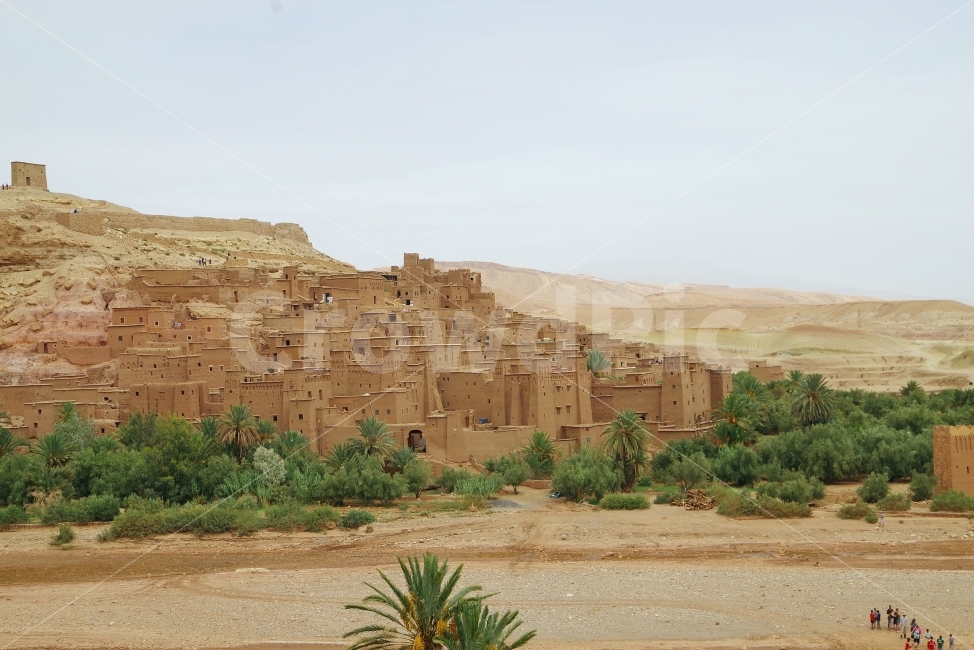모로코,여행,와르자자트,maroc,travel,OUARZAZATE,도시,풍경,city,landscape,해외,외국,세계,foreign,oversea,world,plant,식물