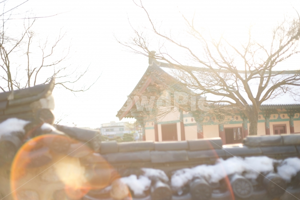 고궁,유적,화창,햇빛,렌즈플레어,담,겨울,계절,winter,season,한국전통,한국문화,korean traditional,korean culture