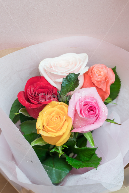 식물,꽃,꽃부케,blossom,flower,rose,장미,꽃다발,기념일,축하,anniversary,congratulation,celebrate,celebration