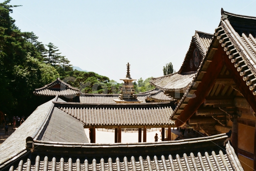경주불국사,불국사,다도탑,탑,사찰,경주,랜드마크,landmark,tourist attraction,한국전통,한국문화,korean traditional,korean culture,종교,신앙,religion,belief,faith