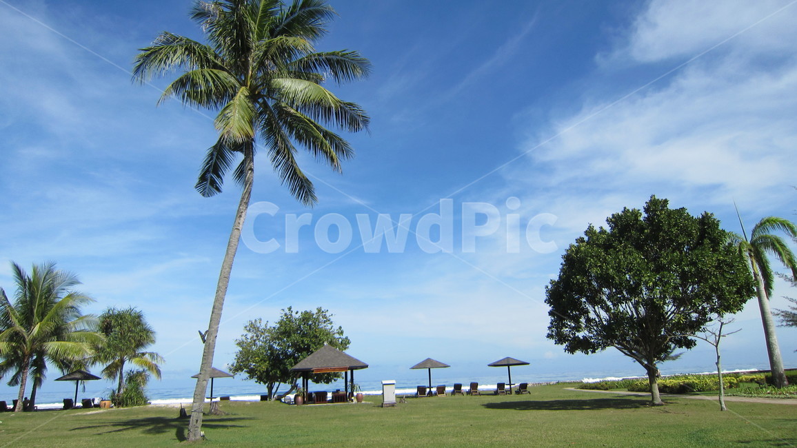 코타키나발루,말레이시아,해변,야자수,하늘,나무,벤치,구름,바다,kotakinabalu,beach,palmtree,tree,sky,자연,풍경,nature,landscape,해외,외국,세계,foreign,oversea,world,세계자연풍경,해외자연풍경,외국자연풍경,world nature landscape,summer,여름,grass,잔디,plant,식물