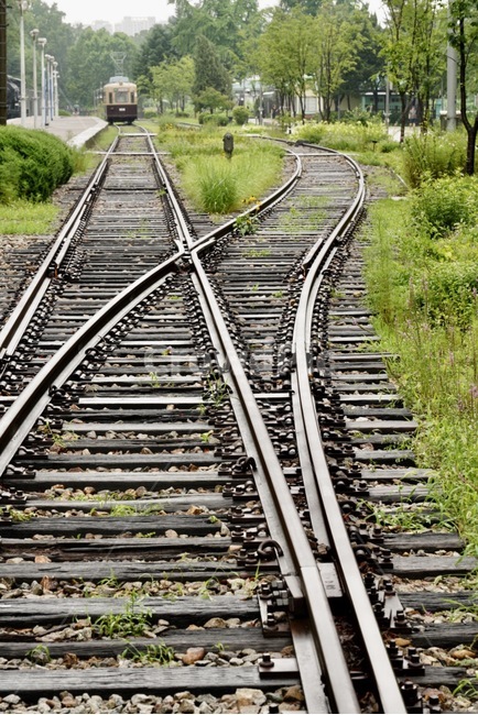 철로,기차,열차,계절,여름,train,rail