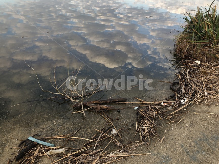 ground,바닥,nature,자연,outdoors,옥외,land,나라,water,물,강,감성사진,나뭇가지