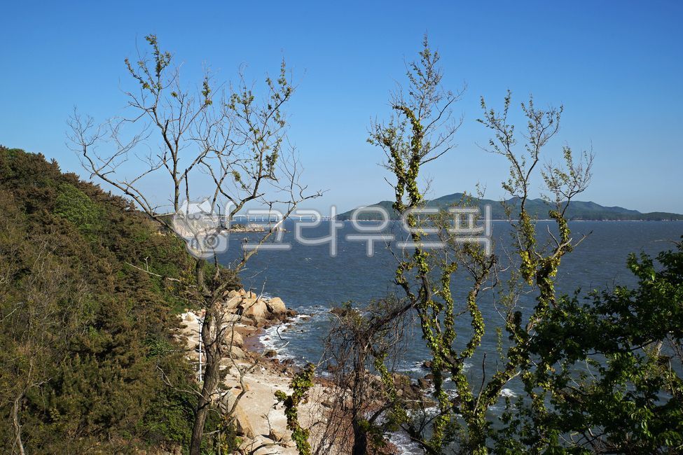 노적봉,흔들다리,출렁다리,을왕리,인천,영종도,자연,풍경,nature,landscape