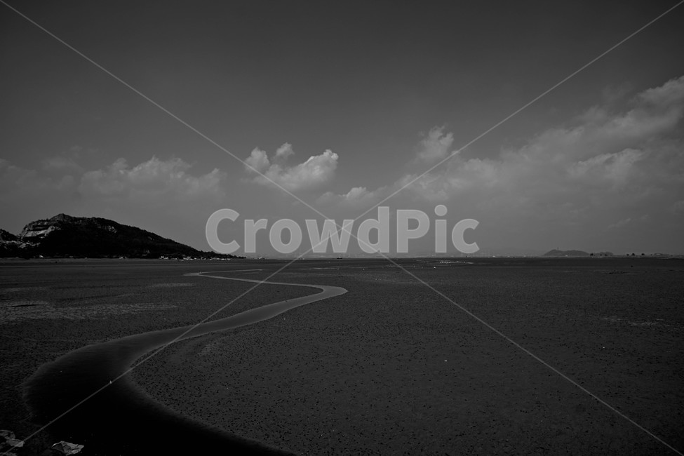 갯골,바다,썰물,물길,흑백,모노,자연,풍경,nature,landscape,흑백,모노톤,monochrome,black and white,weather,날씨,outdoors,옥외