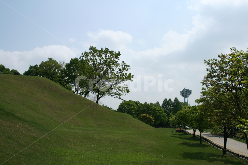 하늘,공원,나무,초록,감성,산책,자연,풍경,nature,landscape,field,들,grassland,목초지,outdoors,옥외,plant,식물,grass,잔디