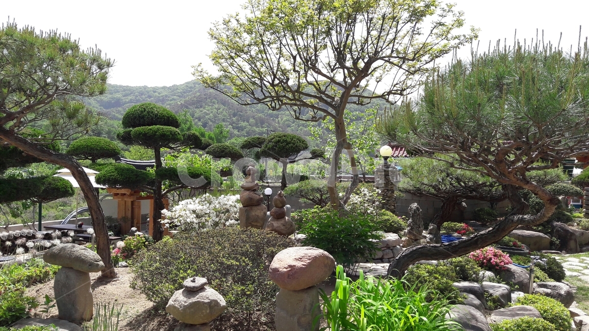 정원,전경,풍경,조경,나무,돌탑,푸르름,쉼,정겨움,평온함,시골