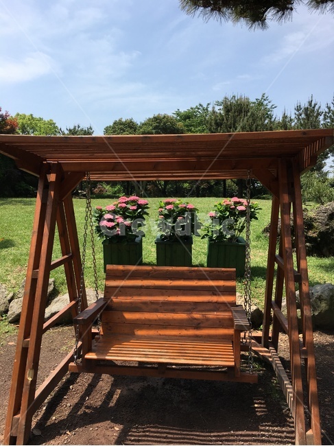 흔들의자,swingcaair,들판,field,야외,outdoor,꽃,flower,화분,파란,하늘,sky,blue,숲,forest,korea,한국,제주도,사물,물건,오브젝트,thing,object,matter