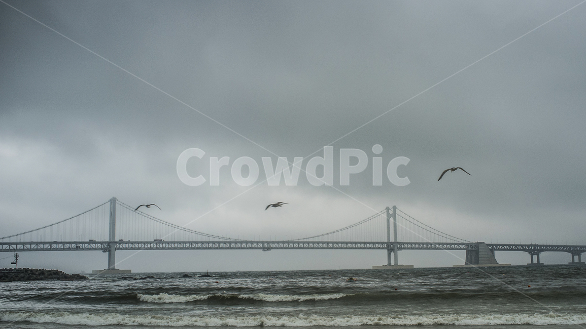 부산,광안리,광안대교,바다,갈매기,파도,폭우,랜드마크,landmark,tourist attraction,한국랜드마크,한국관광지,한국명소,korea landmark,korea tourist attraction