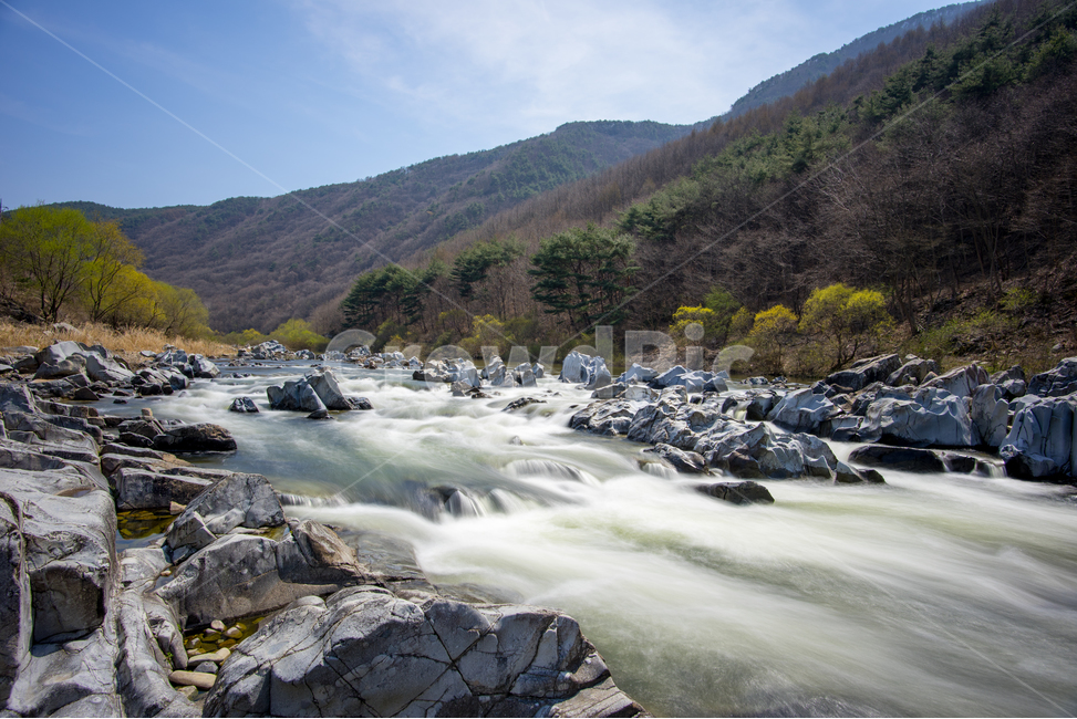 청송,백석탄,계곡,봄,물결,물살,자연,풍경,nature,landscape,한국자연풍경,한국자연경관,korea nature landscape,water,물,outdoors,옥외,creek,작은 만,stream,흐름