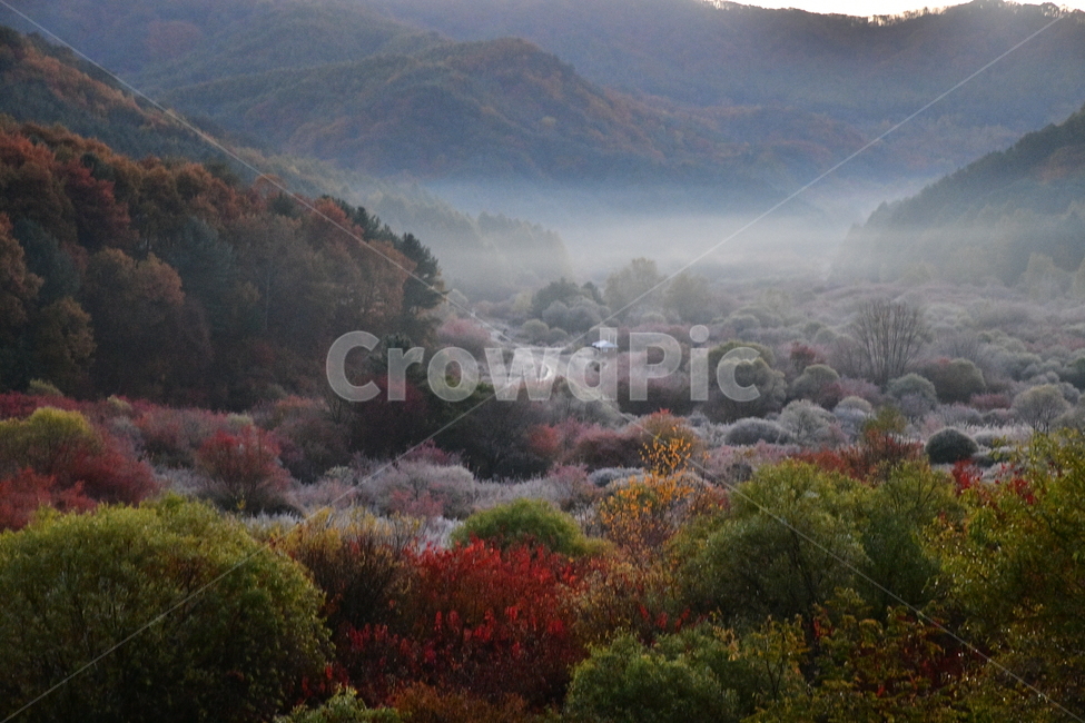 자연,풍경,가을,단풍,새벽,산,나무,가을,계절,fall,autumn,season,자연,풍경,nature,landscape,weather,날씨,outdoors,옥외