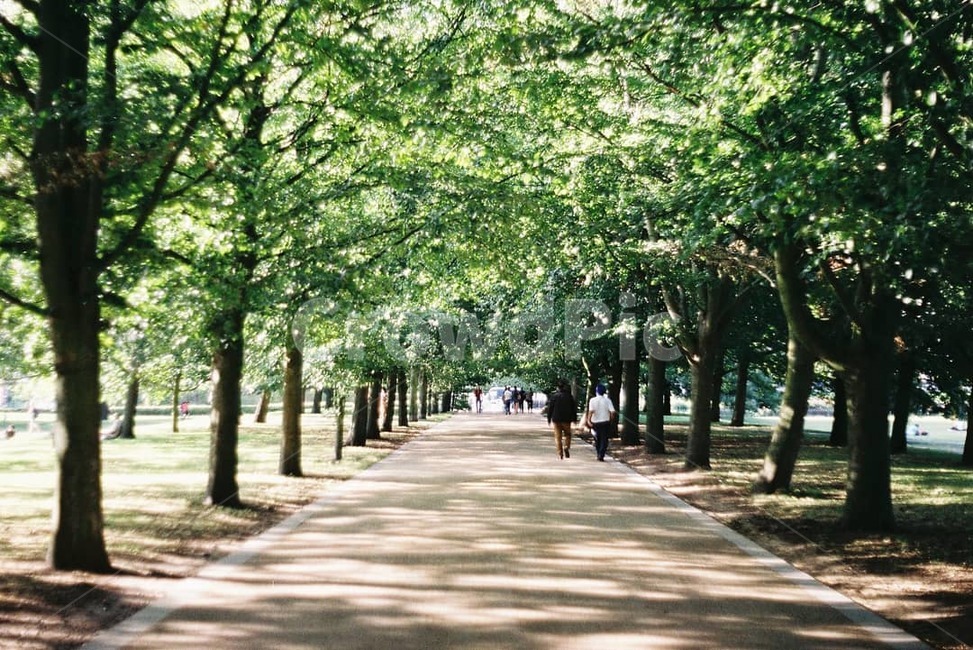 영국,런던,공원,유럽,산,나무,숲,길,england,london,park,eroup,mountain,forest,tree,way,garden,정원,산길,산책,자연,풍경,nature,landscape,outdoors,옥외,arbour,정자