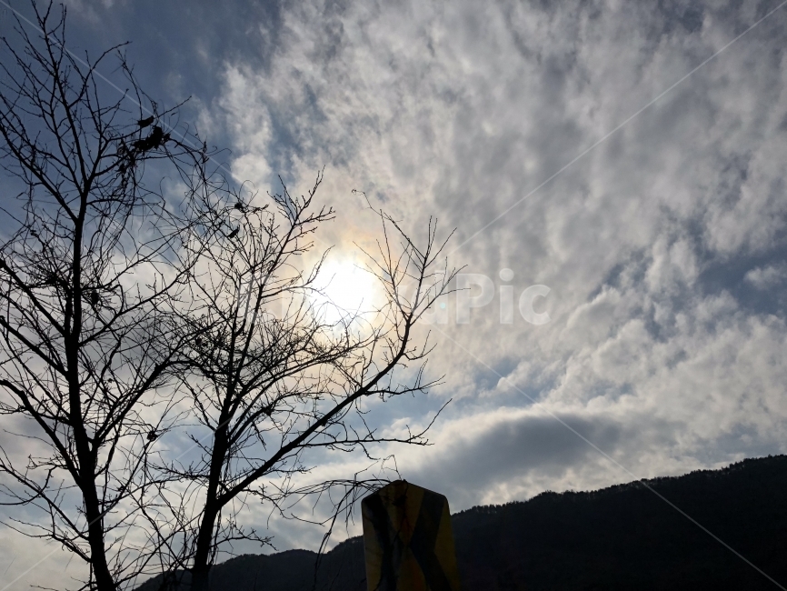 구름,하늘,나무,겨울,바탕화면,배경화면,그림자,Cloud,Background,Tree,Winter,Sky,겨울,계절,winter,season,자연,풍경,nature,landscape,light,빛,flare,플레어,outdoors,옥외