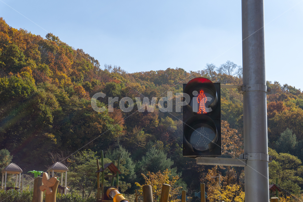 신호등,빨간불,초록불,교통안전,안전교육,교통,교통수단,traffic,transportation