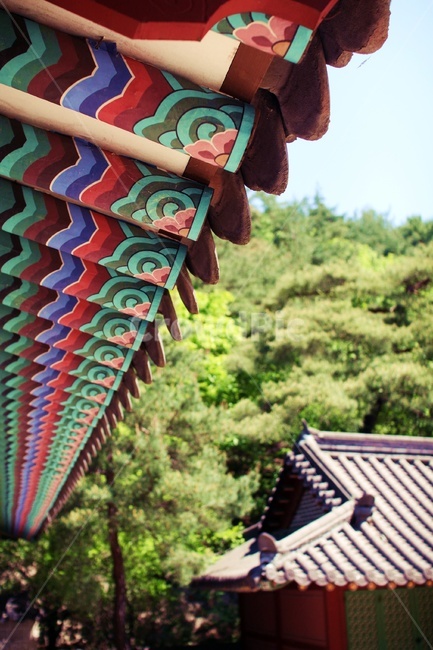 종교,자연,지붕,불교,절,한국전통,한국문화,korean traditional,korean culture,건축물,건물외관,exterior,building,structure,architecture,construction