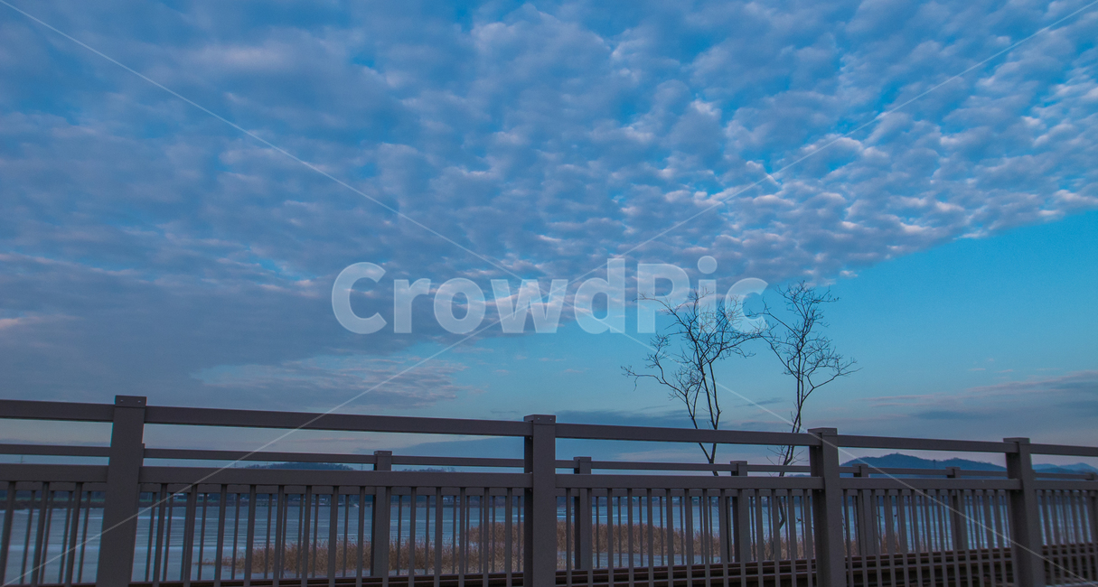 겨울,나무,감성,계절,공원,식물,자연,풍경,nature,landscape,railing,난간,banister,handrail