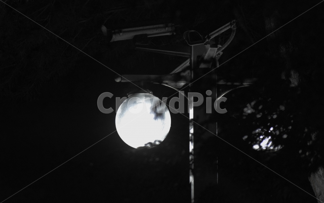 흑백,전등,어둠,저녁,가로등,야경,밤,풍경,nightscape,night,landscape,감성,sensible,feeling,흑백,모노톤,monochrome,black and white,nature,자연,outdoors,옥외
