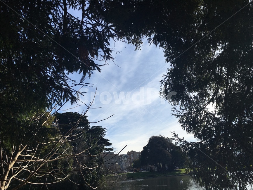 plant,식물,tree,나무,outdoors,옥외,nature,자연,하늘,sky,landscape,scenery,scene,view