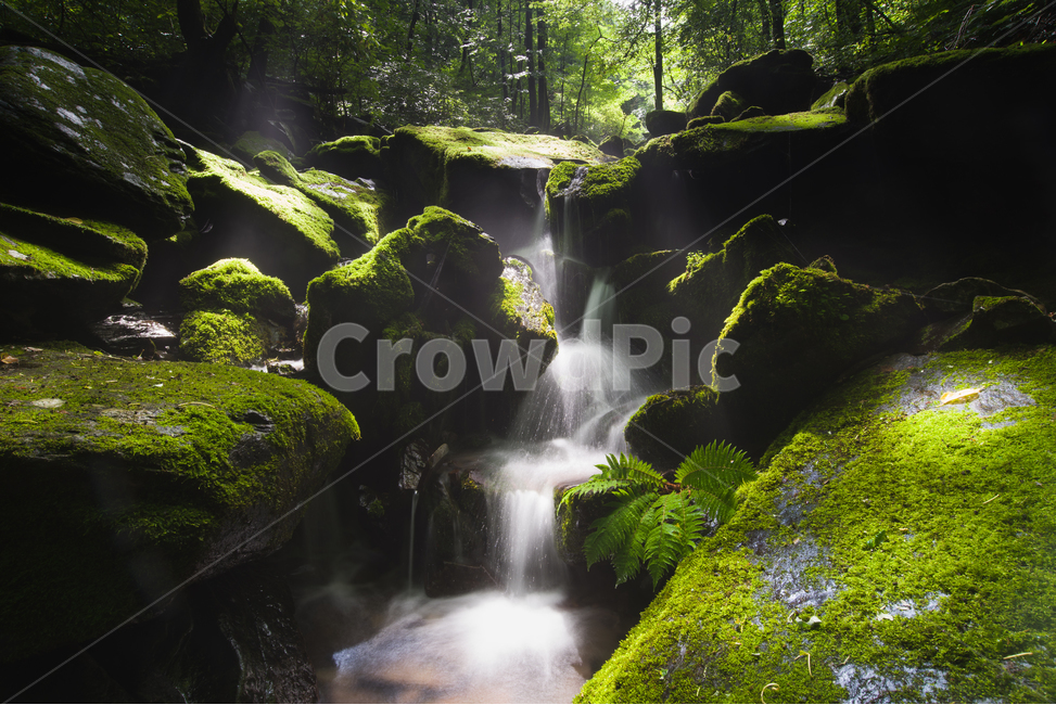 물,자연,폭포,풍경,계곡,강원도,이끼,장노출,water,nature,waterfall,scenary,landscape,moss,valley,mossvalley,longexposure,자연,풍경,nature,landscape