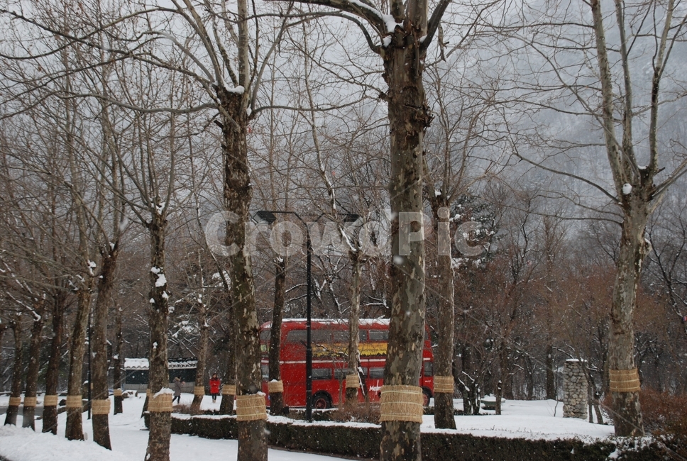 설악산,겨울산,눈,설산,겨울,soraksan,wintermountain,snow,nature,자연,산책로