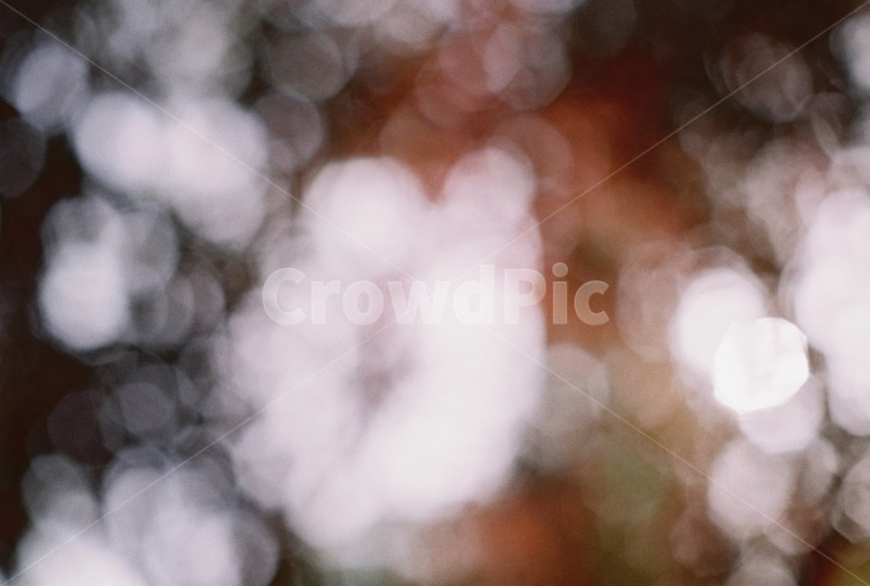 필름사진,보케,하늘,빛,동글동글,감성,sensible,feeling