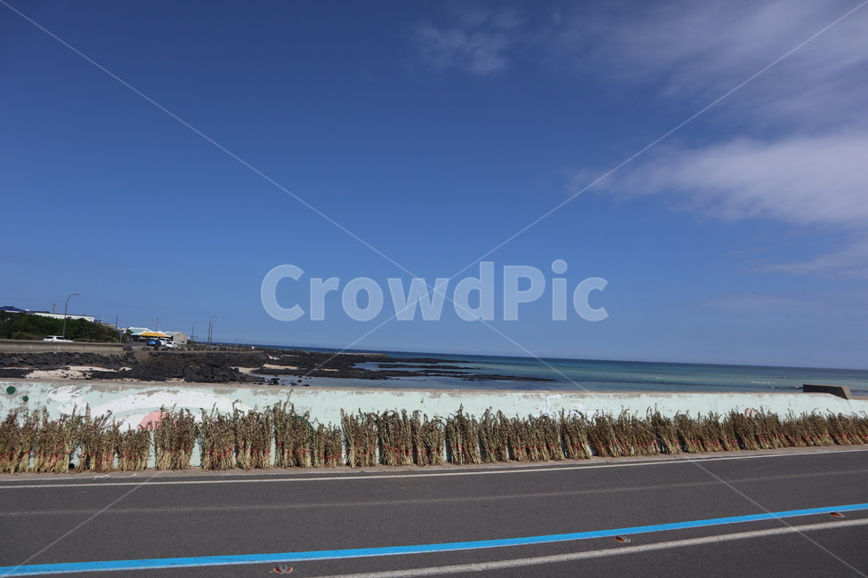 road,도로,asphalt,바다,sea,ocean,대양,water,물,nature,자연,shoreline,해안선,자연,풍경,nature,landscape