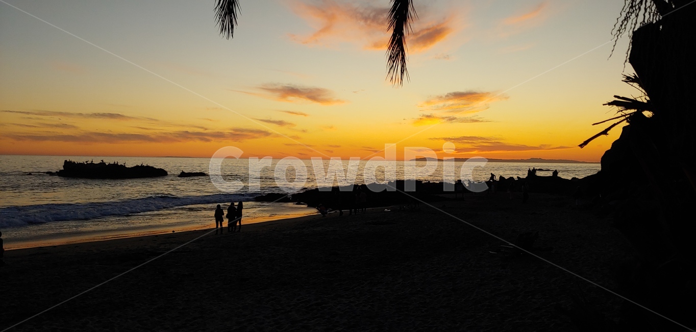lagunabeach,california,모래사장,바닷가,파도,야자수,sunset