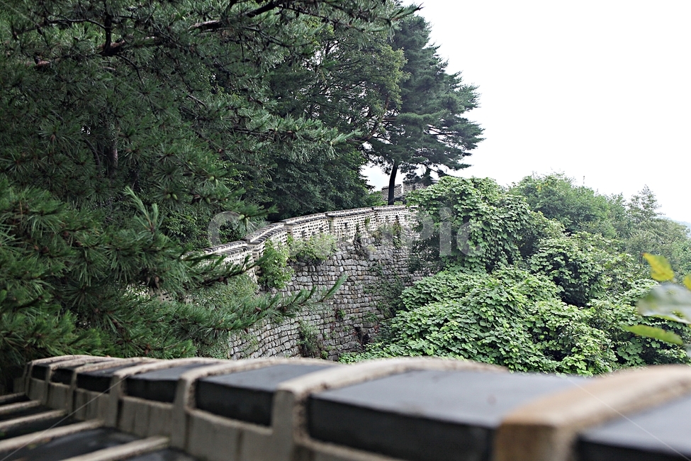 남한산성,성,성곽,길,둘레길,벽,숲길,숲,담,돌담,풍경,여름