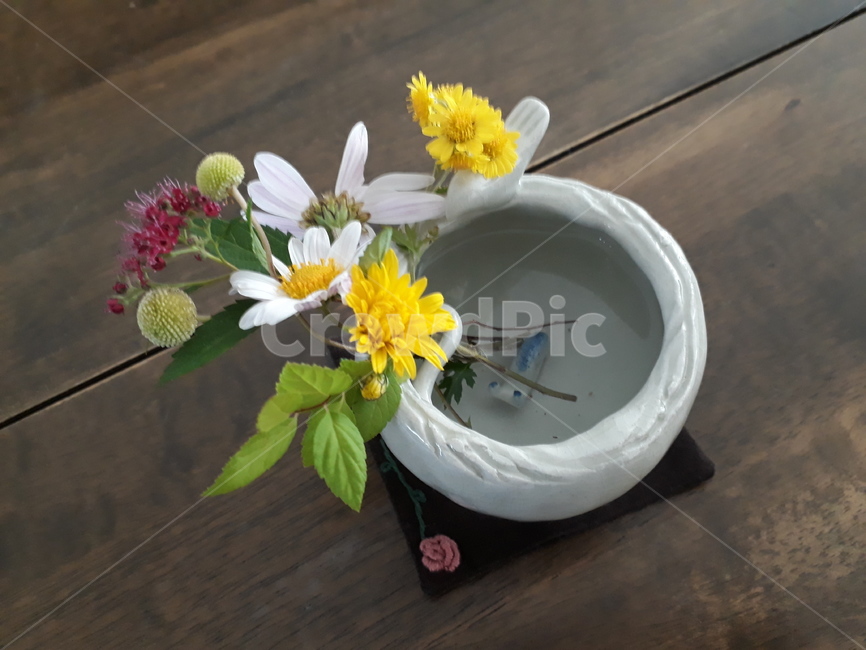 들꽃,도자기,수반,여름,가을숲