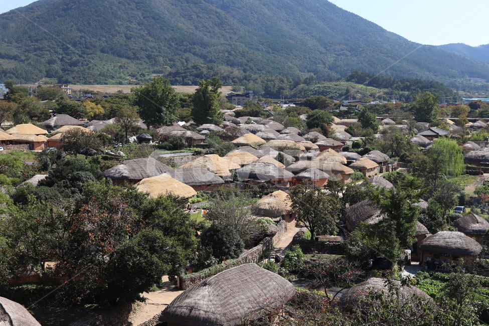 human,인간,person,사람,outdoors,옥외,초가집,낙안읍성,순천,전통,관광,관광지,역사,전남,전라남도,여행지,산책,낙안,마을,풍경,경치,자연,nature,landscape,scenery,랜드마크,시골,마을,풍경,landscape,country,rural,town,한국전통,한국문화,korean traditional,korean culture