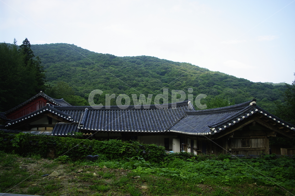 선암사,사찰,건축,전통건축,traditional,전통,기와지붕,풍경,초록,나무,자연,풍경,nature,landscape,한국전통,한국문화,korean traditional,korean culture,outdoors,옥외