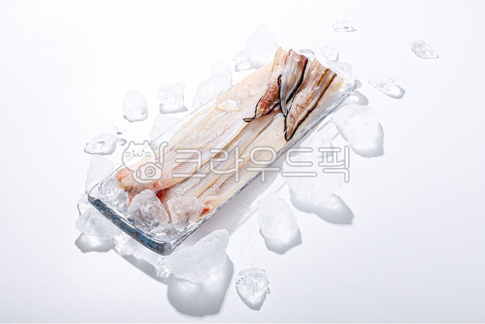장어,그릇,원물,바다장어,민물장어,신선,수산물