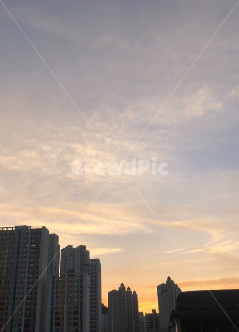 sky,하늘,아파트,건물,노을