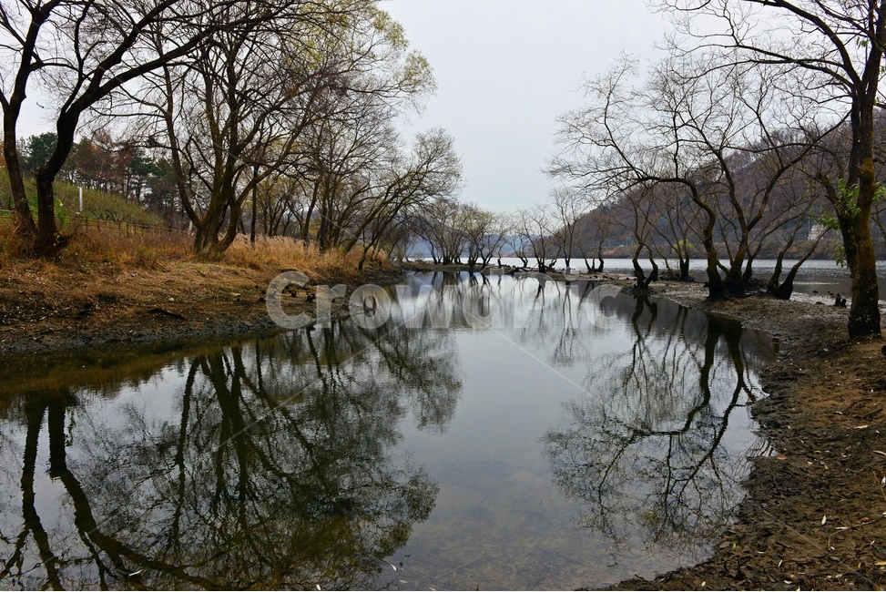 대전,대덕,금강,로하스길,나무,반영,겨울,land,땅,nature,자연,outdoors,옥외,water,물