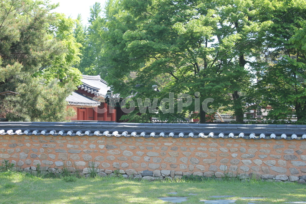 담장,담,옛날담장,기와,지붕,roof,wall,rooftile,한국전통,한국문화,korean traditional,korean culture,건축물,건물외관,exterior,building,structure,architecture,construction