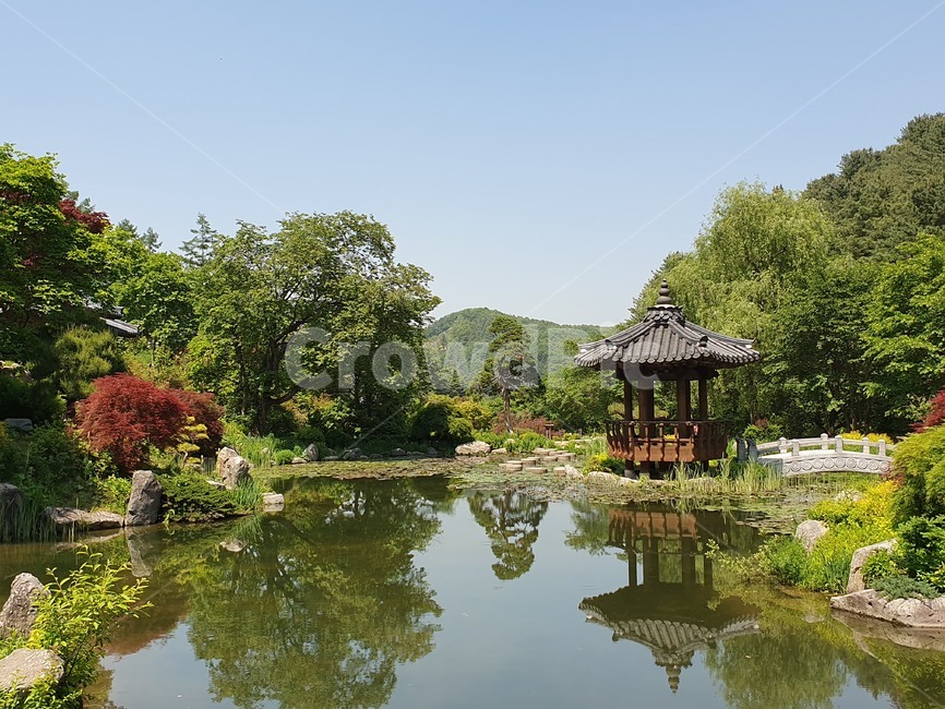 식물원,풍경,물,여름,나무,연못,korea