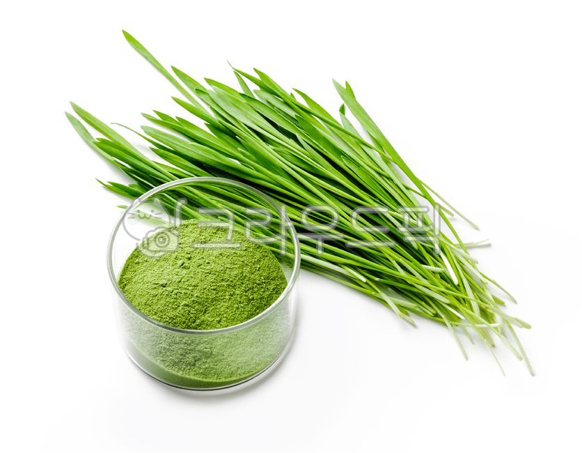 디톡스,새싹보리,슈퍼푸드,초록,새싹,푸드,그린,가루,분말,배경,생태,항산화,항산화식품,다발,요리,다이어트,식단,에너지,식품,신선한,풀,녹색,건강,면역,성분,라이프스타일,비건,자연,영양,식물,보충제,채식주의자,비타민,밀,요리법,보리싹,건강한,레시피,유기농,에코,채식,음식,plant