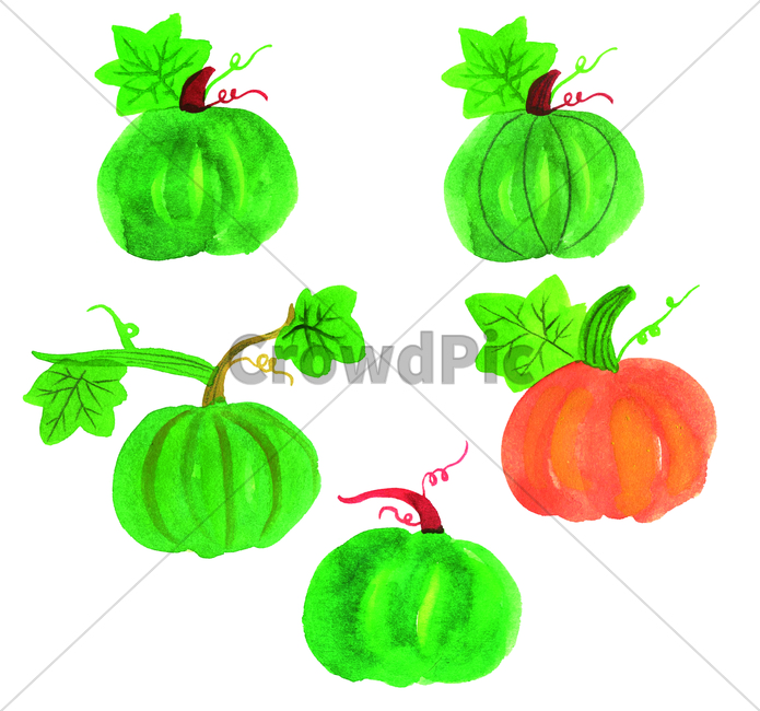 손그림,물감그림,handdrawing,watercolor,호박,pumpkin,squash