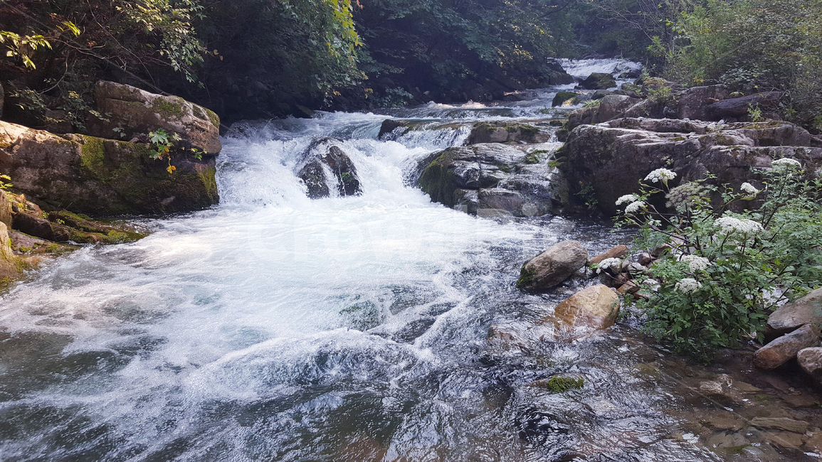 계곡,물,강,자연,경치,풍경,산,물줄기,자연,풍경,nature,landscape,water,outdoors,옥외,stream,흐름,creek,작은 만