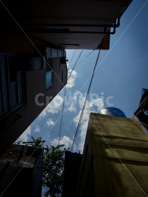 하늘,구름,건물,나무,시선,도시,풍경,city,landscape,건축물,건물외관,exterior,building,structure,architecture,construction