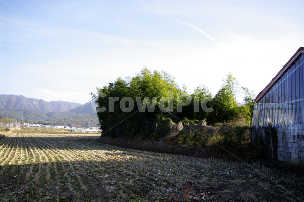 하늘,나무,논,풍경,산,시골,자연,풍경,nature,landscape,ground,바닥