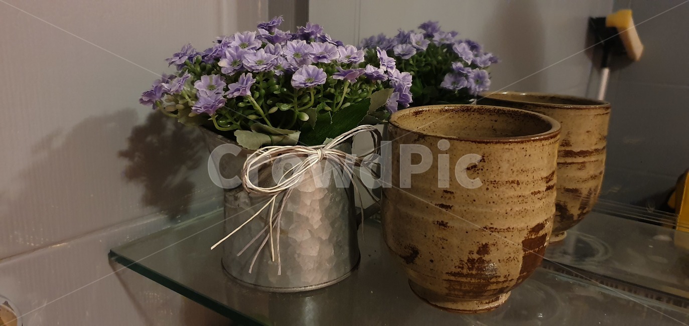 plant,식물,flower,꽃,flowerarrangement,도자기,컵,꽃꽂이,실내용화초,화분,화초,house plant
