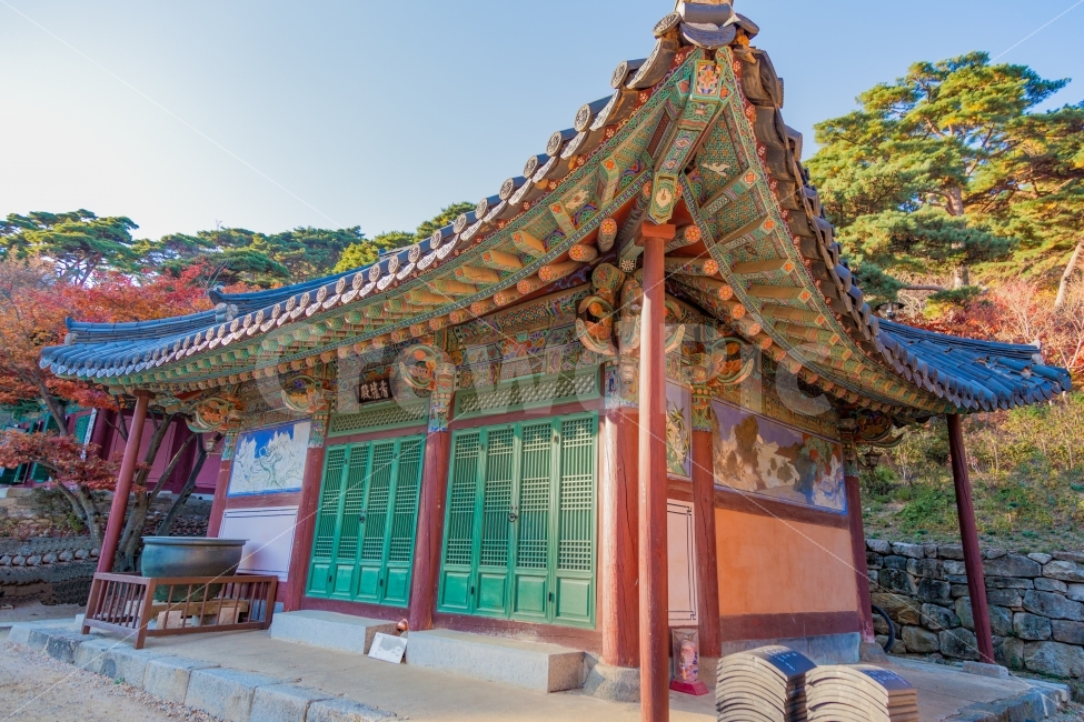 단풍,가을,여행,절,사찰,강화,강화도,전등사,나무,숲,기도,수양,수련,암자,temple,autumn,nature,asia,buddhism,architecture,fall,landscape,travel,colorful,park,garden,beautiful,background,tree,asian,leaf,orange,art,image,holiday,tower,한국전통,한국문화,korean traditional,korean culture,종교,신앙,religion,belief,faith,건축물,건물외관,exterior,building,structure,architecture,construction
