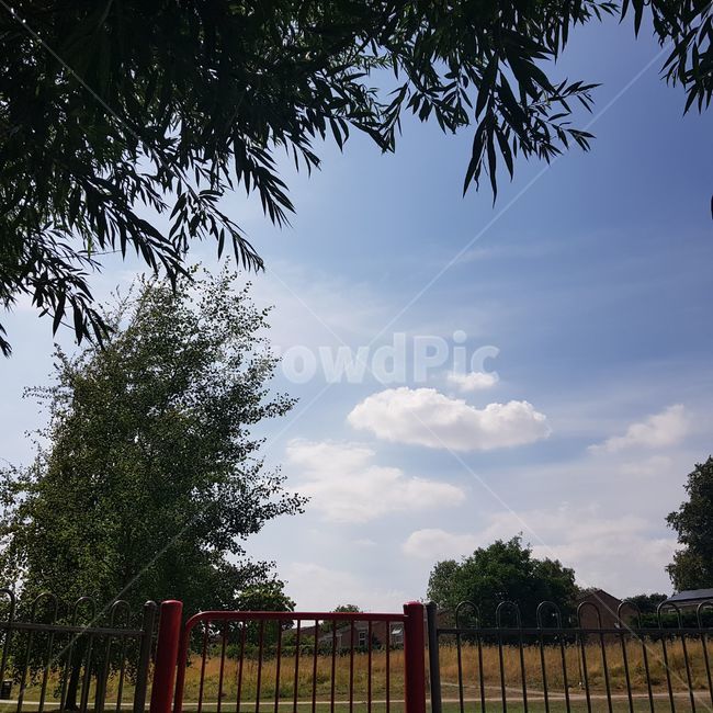 sky,하늘,tree,나무,cloud,구름,nature,자연,outdoor,옥외