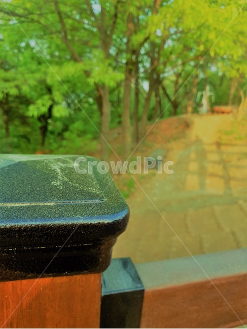 등산로,산,mountain,mountaineeringroad,나무