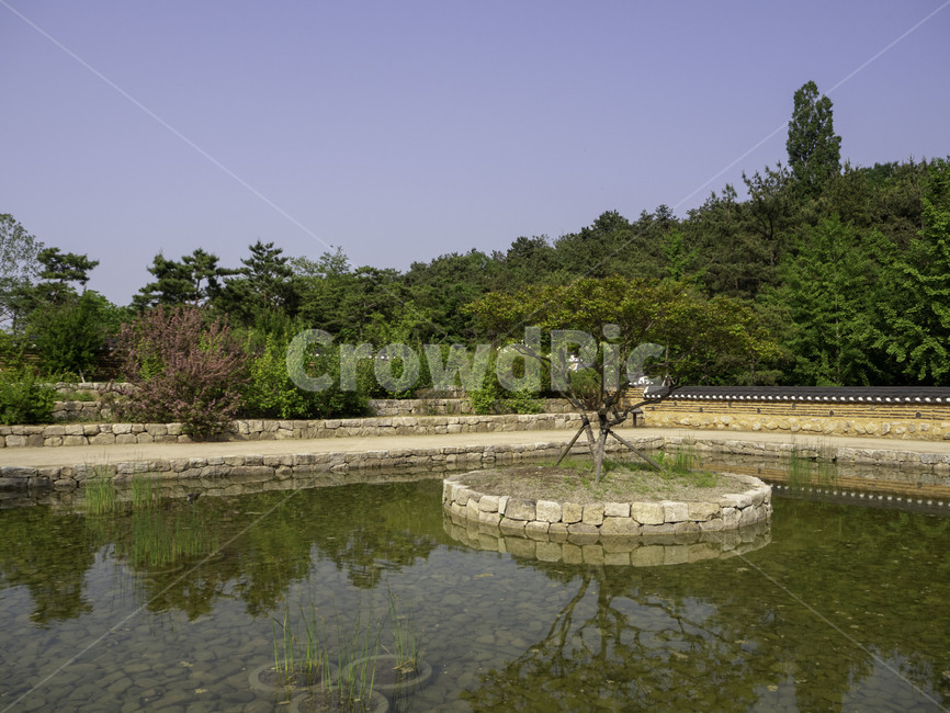 방지원도,수목원,botanicalgarden,자연,nature,연못,pond,자연,풍경,nature,landscape,한국전통,한국문화,korean traditional,korean culture,water,물,land,땅,outdoors,옥외